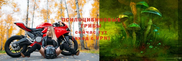 первитин Нея