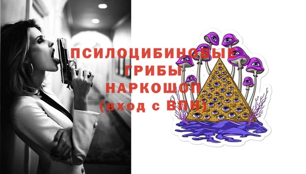первитин Нея